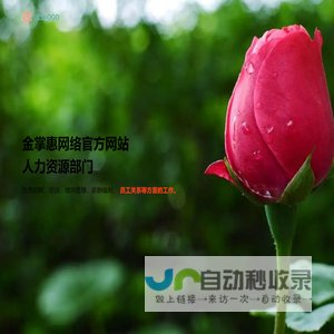 金掌惠网络